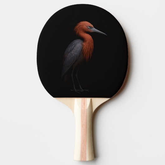 Raquette De Ping Pong Black 4 Luxe ping pong paddle, Reddish Egret (Dos)