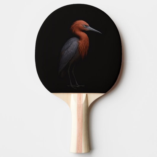 Raquette De Ping Pong Black 4 Luxe ping pong paddle, Reddish Egret (Devant)
