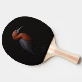 Raquette De Ping Pong Black 4 Luxe ping pong paddle, Reddish Egret (Côté)
