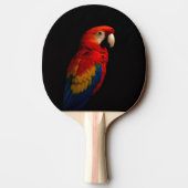 Raquette De Ping Pong Black 4 Luxe ping pong paddle, Scarlet Parrot (Dos)