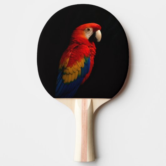 Raquette De Ping Pong Black 4 Luxe ping pong paddle, Scarlet Parrot (Devant)