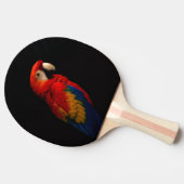 Raquette De Ping Pong Black 4 Luxe ping pong paddle, Scarlet Parrot (Côté)