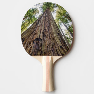 Raquette De Ping Pong Bois de Roosevelt