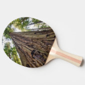 Raquette De Ping Pong Bois de Roosevelt (Côté)