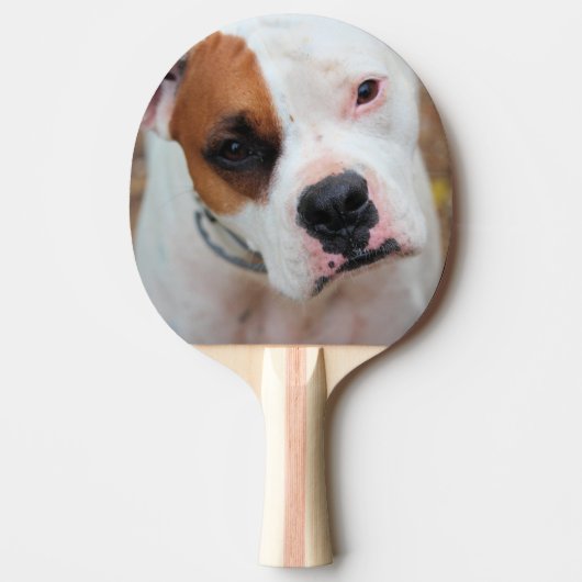 Raquette De Ping Pong Boucle (Devant)
