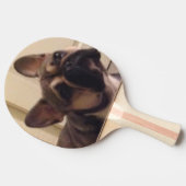 Raquette De Ping Pong Bouledogue français (Côté)