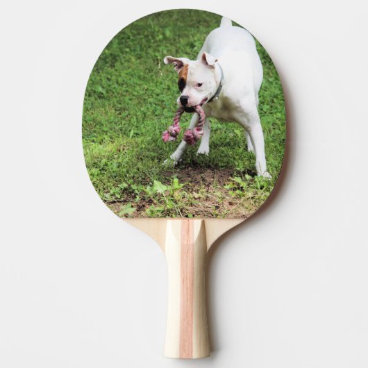 Raquette De Ping Pong Boxer (Devant)