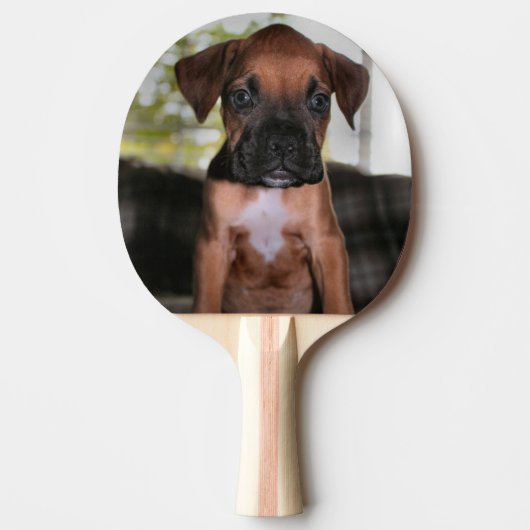 Raquette De Ping Pong Boxer Bqby (Devant)