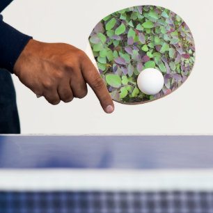 Raquette De Ping Pong Branches Feuilles rouges et vertes Photographie