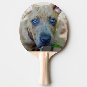 Raquette De Ping Pong Brindle Pit Bull Puppy par Shirley Taylor