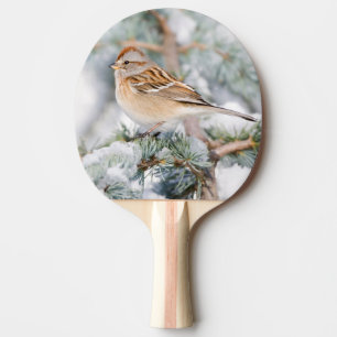 Raquette De Ping Pong Bruant hudsonien en hiver