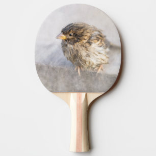Raquette De Ping Pong Bruant - Météo Prévision Épique Échec