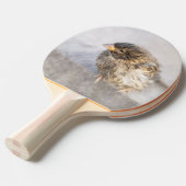 Raquette De Ping Pong Bruant - Météo Prévision Épique Échec (Devant Angle)