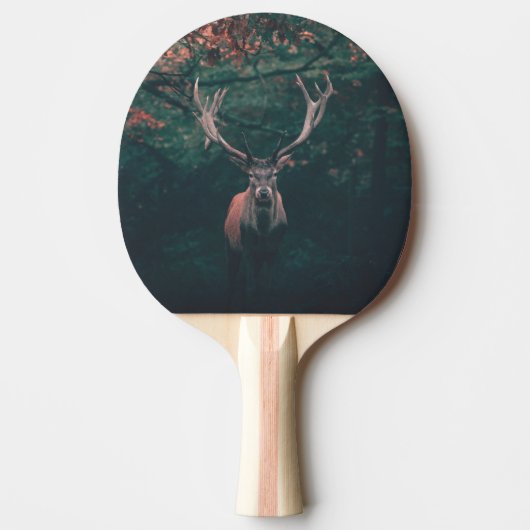 Raquette De Ping Pong Buck Deer animal sauvage (Devant)