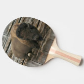 Raquette De Ping Pong Buffalo (Côté)