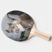 Raquette De Ping Pong Bulle de Pitt (Côté)