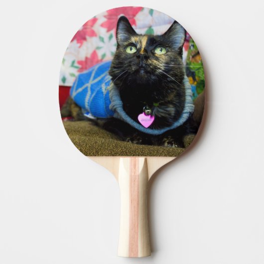 Raquette De Ping Pong Calico II (Devant)