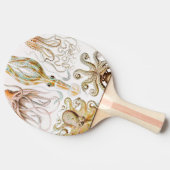 Raquette De Ping Pong Calmar de poulpe, Gamochonia, par Ernst Haeckel (Côté)
