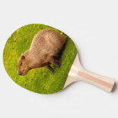 Raquette De Ping Pong Capybara (Côté)
