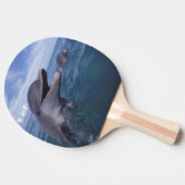 Raquette De Ping Pong Caraïbes, Grand dauphin (Côté)