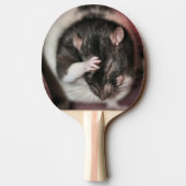 Raquette De Ping Pong Casque (Dos)