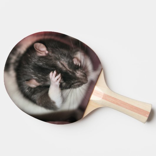 Raquette De Ping Pong Casque (Côté)