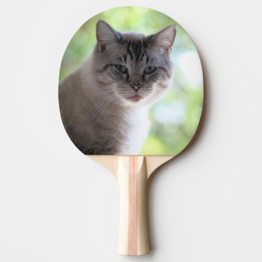 Raquette De Ping Pong Cat (Devant)