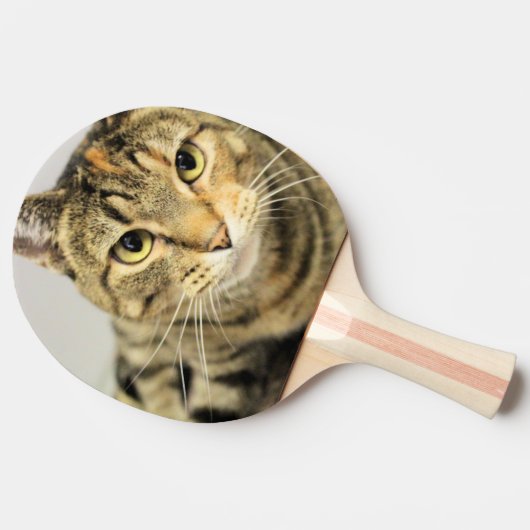 Raquette De Ping Pong Cat (Côté)