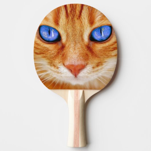Raquette De Ping Pong Cat Eyes Face Tigre Rouge (Devant)