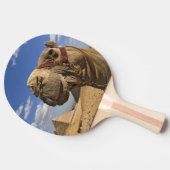 Raquette De Ping Pong Chameau devant les pyramides de Gizeh, Égypte, (Côté)