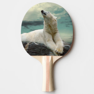 Raquette De Ping Pong Chasseur blanc d'ours blanc sur la roche