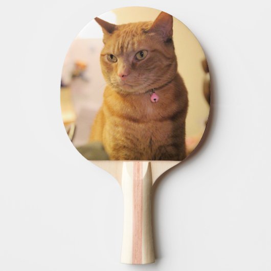 Raquette De Ping Pong Chat (Devant)