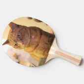 Raquette De Ping Pong Chat (Côté)