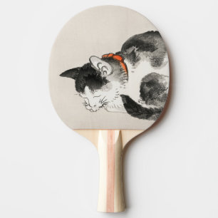 Raquette De Ping Pong Chat endormi