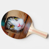 Raquette De Ping Pong Chat enveloppé dans un papier brun (Côté)