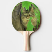 Raquette De Ping Pong Chat Maine Coon dans l'arbre (Dos)