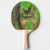 Raquette De Ping Pong Chat Maine Coon dans l'arbre (Devant)