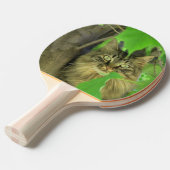 Raquette De Ping Pong Chat Maine Coon dans l'arbre (Devant Angle)