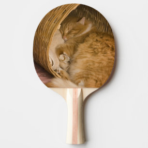 Raquette De Ping Pong Chat tigré orange dormant dans un panier