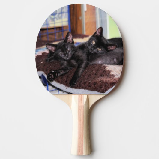 Raquette De Ping Pong Chatons (Devant)