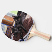 Raquette De Ping Pong Chatons (Côté)