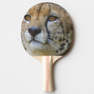 Raquette De Ping Pong cheetah-21.jpg