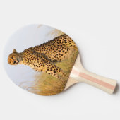 Raquette De Ping Pong Cheetah animal sauvage Big Cat (Côté)