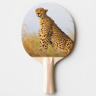 Raquette De Ping Pong Cheetah animal sauvage Big Cat photo