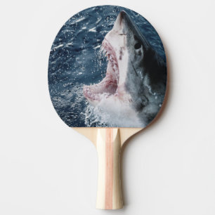 Raquette De Ping Pong Chef du grand requin blanc
