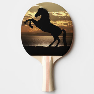 Raquette De Ping Pong cheval