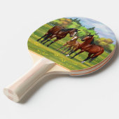 Raquette De Ping Pong Chevaux Du Quartier De La Baie Brown Dans Les Pâtu (Devant Angle)