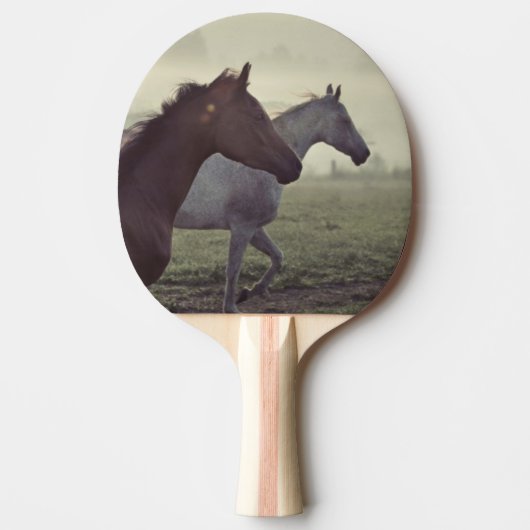 Raquette De Ping Pong Chevaux sauvages (Devant)
