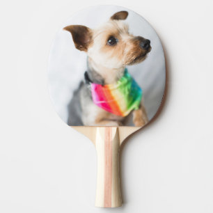 Raquette De Ping Pong Chien arc-en-ciel Gay pride Yorkshire Terrier