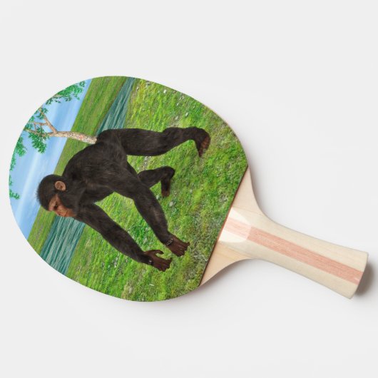 Raquette De Ping Pong Chimpanzé (Côté)